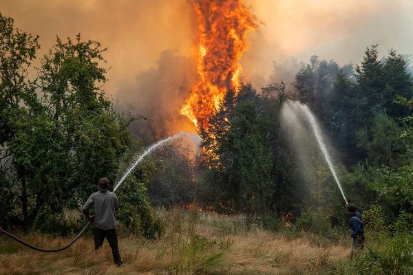 Incendios en El Bolsón © Marcelo Martinez / Greenpeace