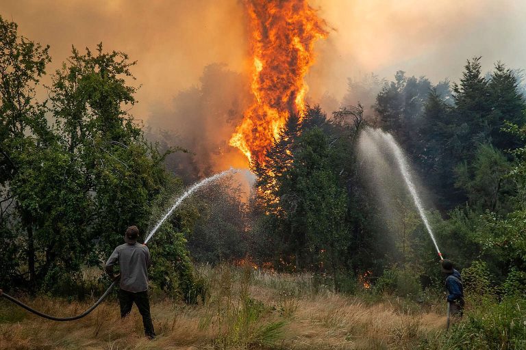 Incendios en El Bolsón © Marcelo Martinez / Greenpeace