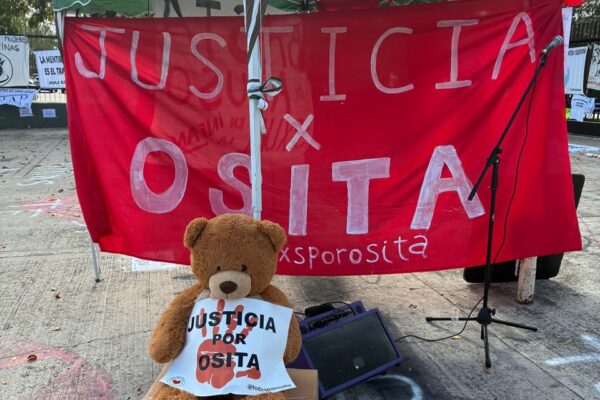 En la cuenta de Instagram @todxsporosita se pueden seguir las instancias del caso